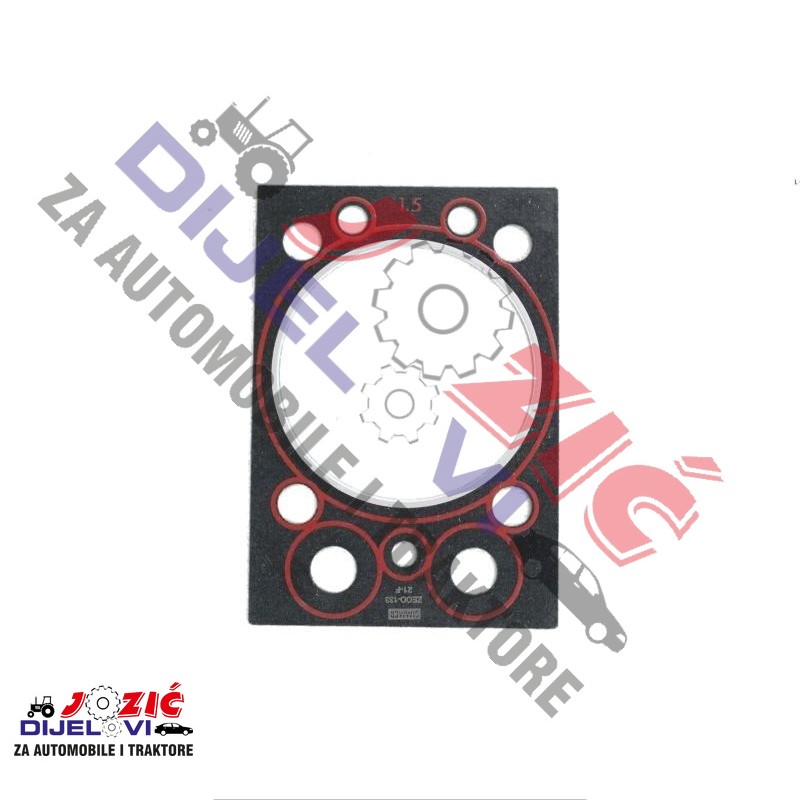 Daisy on the Ohoopee